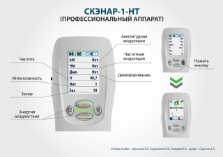 СКЭНАР-1-НТ (исполнение 01)  в Ачинске купить Медицинская техника - denasosteo.ru 