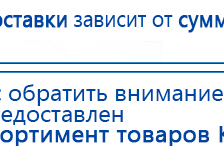 СКЭНАР-1-НТ (исполнение 01 VO) Скэнар Мастер купить в Ачинске, Аппараты Скэнар купить в Ачинске, Медицинская техника - denasosteo.ru